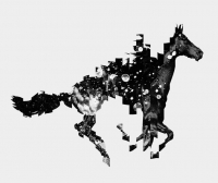 270_horse.jpg