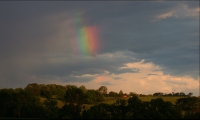 99_rainbow1.jpg